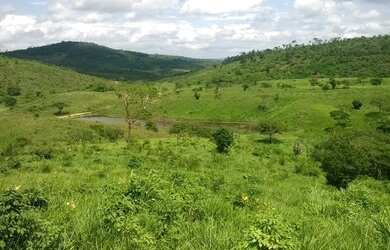Imagem 6: Fazenda para venda. Com 1.419 ha em Jequitibá - Mundo Novo - BA