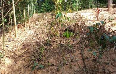 Imagem: 03 Lote com área de 360 m² cada um totalizando uma área de