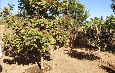 Imagem 4: Vende se. 12.000m² de Área