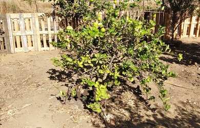 Imagem 6: Vende se. 12.000m² de Área