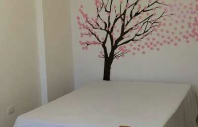 Imagem 14: Excelente Apto 1 Dorm C/ Garagem Em Frente Ao Mar Ótimo Para Investimento...