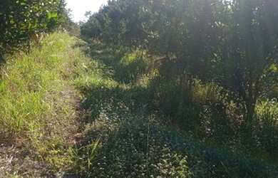 Imagem 4: Terreno Belo Vale MG. 2.000m² de Área