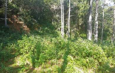 Imagem 7: Terreno Terreno / lote com venda por R$900.000
