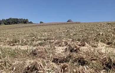 Imagem: O terreno possui 500m² de Área e está localizado em Jardim