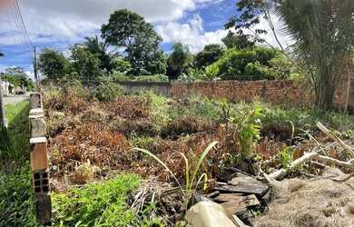 Imagem 6: Terreno no araçagy 02 lotes