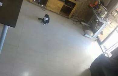 Imagem 6: Casa no Flamengo Maricá. Imóvel novo, 216m² de Área, 4 Vagas na garageme2...