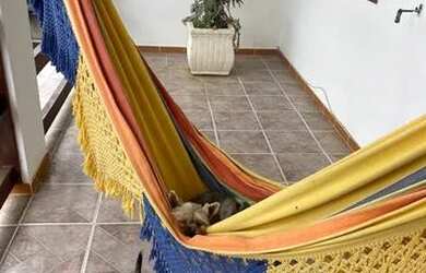 Imagem 15: Casa Casa com 5 dormitórios