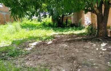 Imagem: O terreno possui 200m² de Área e está localizado em Siqueira