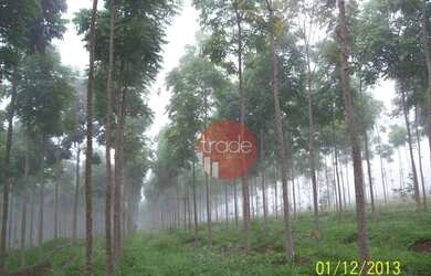 Imagem 13: Fazenda com 1 dormitório à venda, 8820000 m² por R$ 22.000.000,00 -...