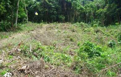 Imagem: O terreno possui 10.559m² de Área e está localizado em São