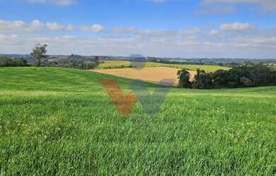 Imagem 11: Chácara 20.000m em Araucária Frente Asfalto, Vista Linda e Zona de Expansão...