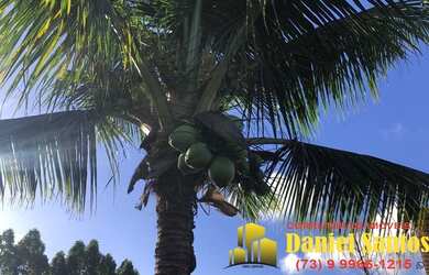 Imagem 12: SITIO RURAL em SANTA CRUZ CABRÁLIA - BA, camurugi em Santa Cruz Cabrália