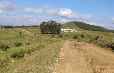 Imagem 7: EMICREI VENDE 900 hectares em Palma para pecuária , planta em sua plenitude...