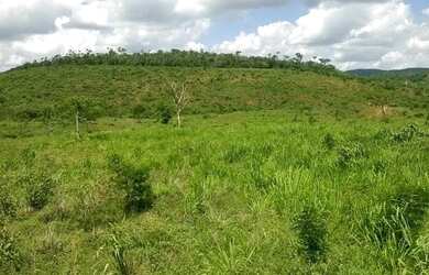 Imagem 13: Fazenda para venda. Com 1.419 ha em Jequitibá - Mundo Novo - BA