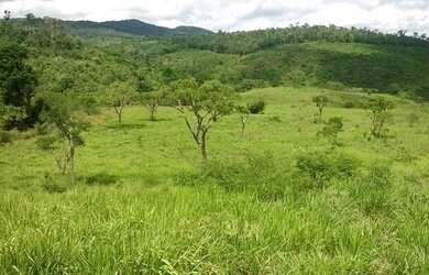 Imagem 16: Fazenda para venda. Com 1.419 ha em Jequitibá - Mundo Novo - BA