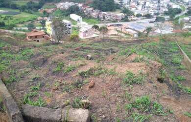 Imagem 3: Vendo lote em ibatiba. 240m² de Área