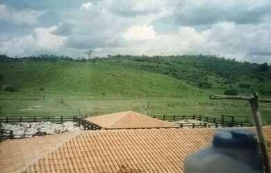Imagem 3: Fazenda para venda. Com 1.419 ha em Jequitibá - Mundo Novo - BA