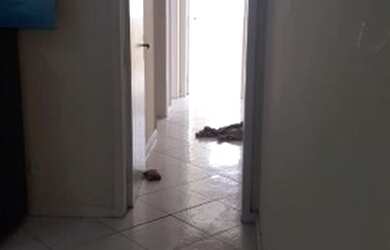 Imagem 5: 3/4, Suite, Garagem, Porto Barra