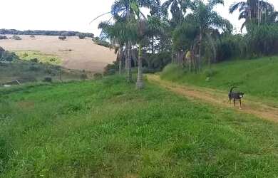 Imagem 10: Fazenda em Cruzilia. 