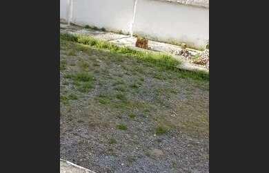 Imagem: O terreno possui 500m² de Área e está localizado em Piedade