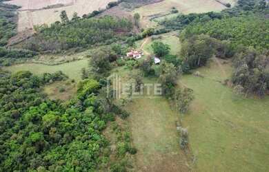 Imagem 4: 300 Hectares à Venda em Área de Plantio
