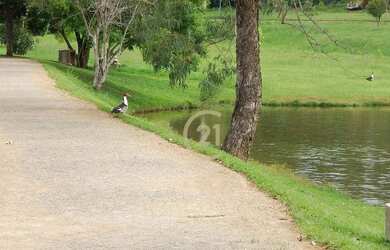 Imagem 15: Terreno à Venda no Condomínio Terras de Itaici - Terras de Itaici em...