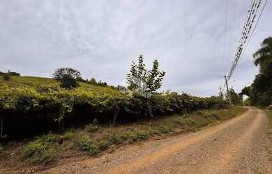 Imagem 2: Propriedade Rural com produção de Uvas e uma casa de Mista