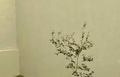 Imagem 11: Casa á venda com 2 quartos sendo 1 suíte no Nova Lima em Campo Grande...