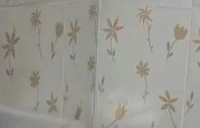 Imagem 4: Vendo linda casa na cidade nova