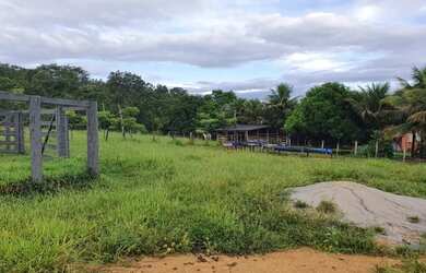 Imagem 8: Fazenda 3 quartos para Venda Amaral, Unaí