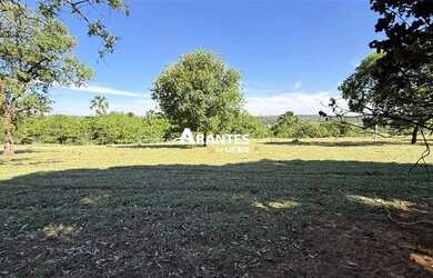 Imagem 12: Fazenda com 20 HECTARES à venda na área rural de Uberlândia