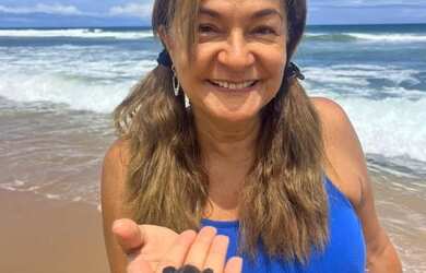 Imagem: A casa em condomínio possui 2 Dormitórios, 2 Banheiros, 2