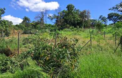 Imagem: O terreno possui 360m² de Área e está localizado em Mateus