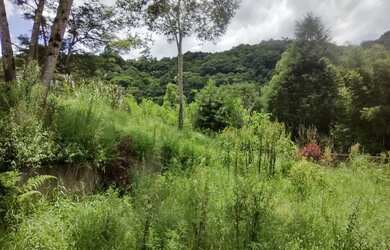 Imagem 15: 1 alqueirao paulista registrada acesso represa pastao