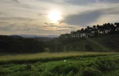 Imagem 8: Lote/Terreno para venda tem 1000 metros quadrados em Recreio São Jorge...