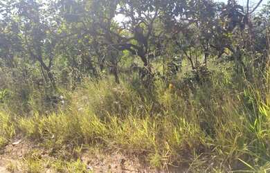 Imagem 3: Oportunidade Lote com 600 metros no Mansões das Águas Quentes em Caldas Novas