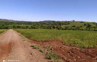 Imagem 2: Sítio no Oeste do Paraná