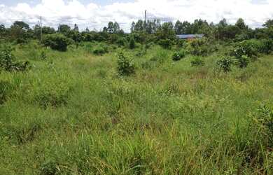 Imagem: O terreno possui 8.000m² de Área e está localizado em Área