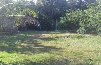 Imagem 4: Vendas ou trocas por carros lanchas jeet etc