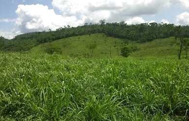 Imagem 5: Fazenda para venda. Com 1.419 ha em Jequitibá - Mundo Novo - BA