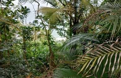 Imagem 10: Terreno à venda, 415 m² por R$ 580.000,00 - Condomínio Península -...