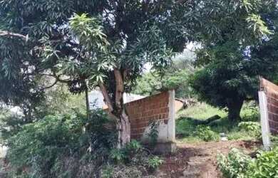 Imagem: O terreno está localizado em Águas Compridas, Olinda à venda