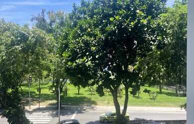 Imagem 2: Apartamento 3 quartos reformado