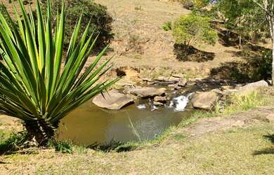 Imagem: Lote/Terreno para venda tem 30000 metros quadrados em Pedro