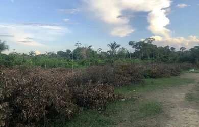 Imagem 2: Vendo ou troco terreno em Belterra 20de frente por 100 de fundo