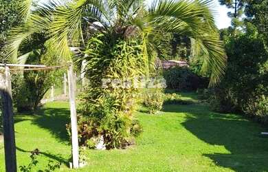 Imagem 10: TERRENO EM CANELA. 2.150m² de Área