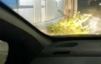 Imagem: A casa possui 2 Dormitórios, 1 Banheiro, 60m² de Área e