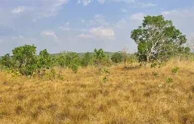 Imagem 3: Fazenda à venda, R$ 2.200.000 Zona Rural - Abreulândia/TO