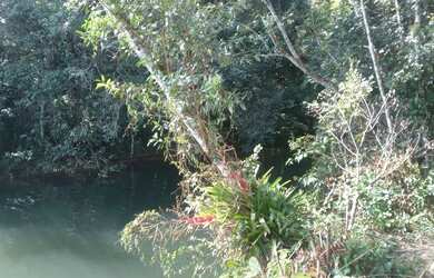 Imagem 9: Super lote pe na agua represa e acesso cachoeira 80 mil reais