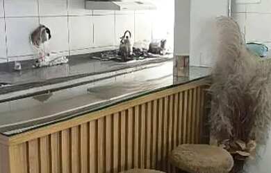 Imagem 5: Vendo Janga 3 qts porteira fechada 499 mil